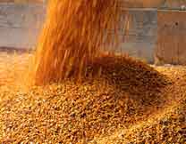 Food Processing